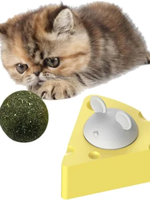 Queso Grande con Hierba Gatera
