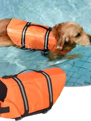 Salvavidas para Perro Talle Xl