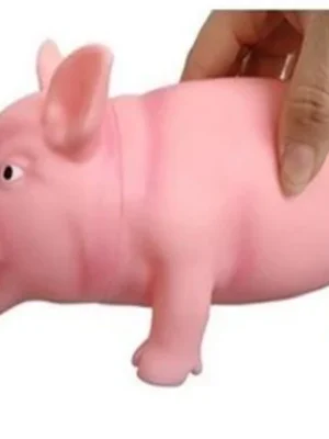 Chancho Grande