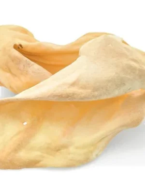 Oreja de Vaca X25 Unidades