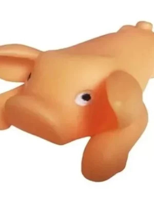 Chanchito