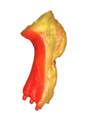 Asado